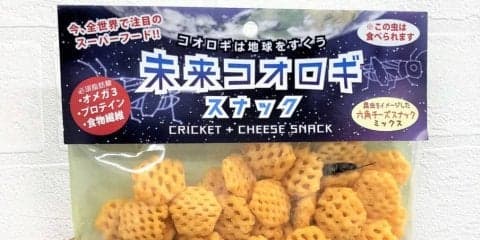 おやつに昆虫食はいかが？「未来コオロギスナック」が高たんぱくで栄養豊富、そしておいしい│編集部のヘルシー食レポ #6
