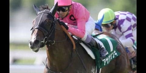 ３歳馬とアイビスSD組。セントウルＳの穴パターンにはまる４頭を発見