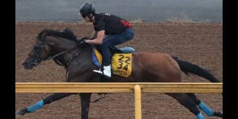京成杯オータムＨは「差し馬」に妙あり。牡５歳が名誉を挽回する