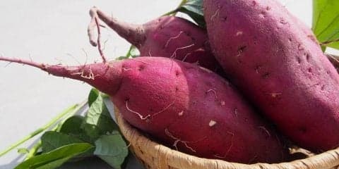 さつまいもを使った置き換えダイエット