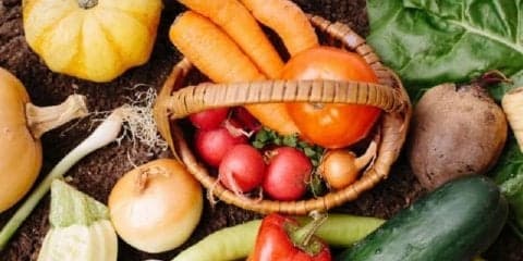 鮮度バツグン！種類も豊富な鎌倉野菜を知ろう