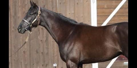 「背中が抜群」のフランクリン。繁栄する一族から新たなスター誕生か