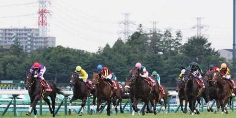 【セントライト記念】デムーロ「最後は苦しくて…」ジョッキー談話