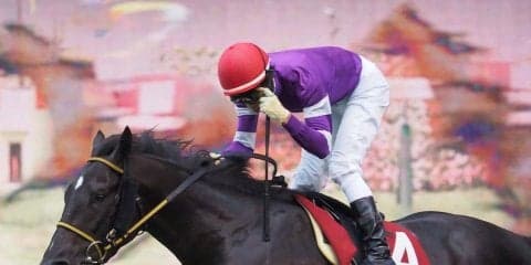 【セントライト記念】田辺「思い切りよく行こう」ジェネラーレウーノ完勝