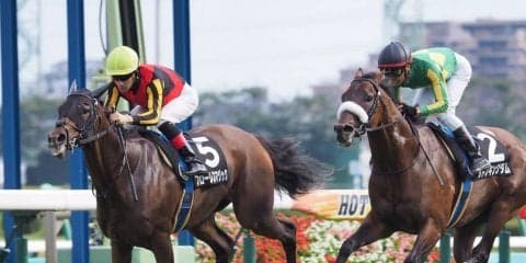 【中山9R/白井特別】圧倒的人気フローレスマジックが完勝