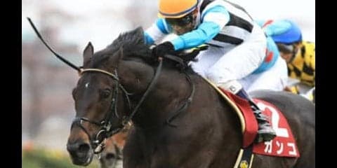 ２強が注目されるオールカマー。休み明けの人気薄３頭が下克上を成す