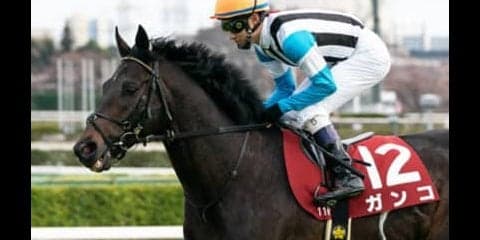 オールカマーは特殊なコース形態も、ガンコが柔軟対応で２強を脅かす