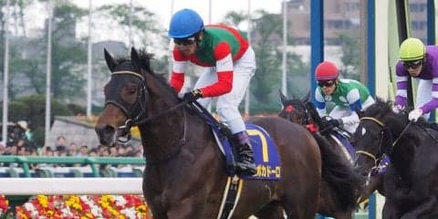 【神戸新聞杯】エポカドーロ 藤原英師「現状の力を出せれば」