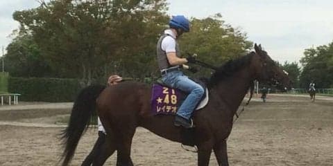 【オールカマー】レイデオロ ルメール「まだ少し重い」