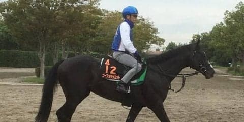 【神戸新聞杯】ゴーフォザサミット 前走は馬場合わず巻き返し期待