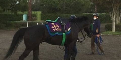 【オールカマー】ゴールドアクター 中川師「気持ちの部分」