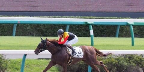 【中山4R/2歳新馬】アポロキングダム産駒 アポロビビがデビュー勝ち