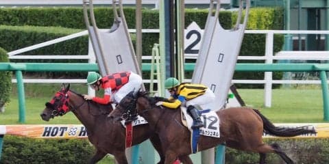 【中山6R/3歳上500万下】ショーカノンが抜け出しV！1万回騎乗武士沢騎手は4着