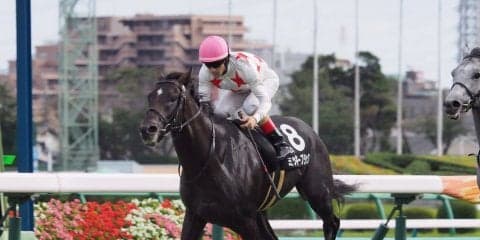 【中山9R/芙蓉S】ミッキーブラック2連勝！ルメールの手綱捌きが際立つ