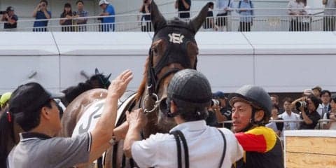 日曜中山4Ｒ新馬はアポロビビが快勝！勝浦「もっと良くなってくる」