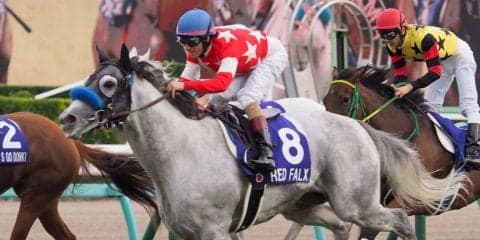 【スプリンターズS】登録馬と見どころ レッドファルクス ファインニードルなど