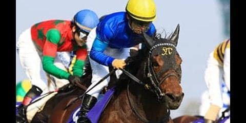 ファインニードルに不安なし。スプリンターズＳで財布を厚くする