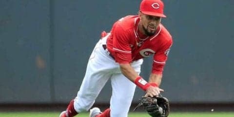 MLB公式が今シーズン最高プレー集を公開　スパイダーキャッチ、魔球、激走…