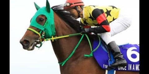 穴党記者が密かに漏らした「隠し玉」３頭がスプリンターズＳで化ける