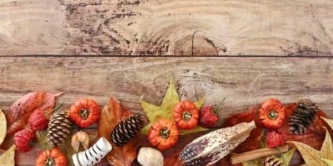 新型秋バテの解消法