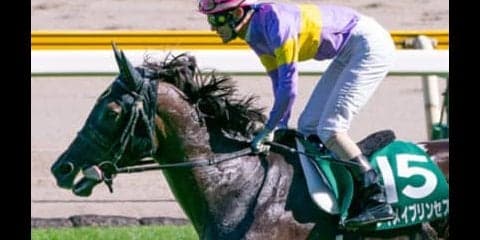 スプリンターズＳは、千直育ちの「お姫様」が実績馬を蹴散らしていく