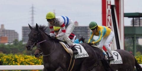 【阪神3R/2歳未勝利】武豊4000勝へあと2！エイティーンガール差し切り