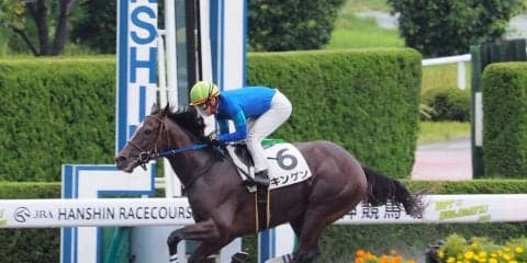 【阪神6R/2歳新馬】ゴールドアリュール産駒 キンゲンが快勝