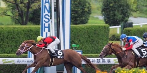 【阪神9R/ヤマボウシ賞】アールロッソが逃げ切りで連勝を決める