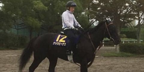 【スプリンターズS】ナックビーナス 杉浦師「完成してきた」