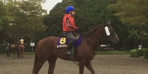 【スプリンターズS】セイウンコウセイ「今年は違う」コンディション良好