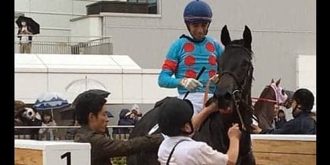 中山初見参のモレイラがいきなり5勝と爆発