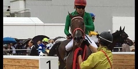 【中山新馬戦】オトナノジジョウが逃げ切り勝ち！三浦「フットワークも良かった」