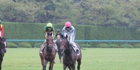 【阪神2歳新馬】武豊「1番乗りやすい」ゴータイミングが差し切り勝ち
