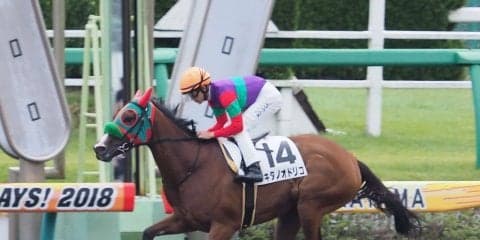 【中山1R/2歳未勝利】キタノオドリコがラスト流して完勝！圧倒的人気に応える
