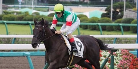 【中山4R/2歳新馬】スクリーンヒーロー産駒 フィルムフェスト圧巻の走り
