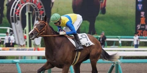 【中山5R/2歳新馬】エアジーンがデビューV！ヴァイスカイザーは出遅れが響き4着
