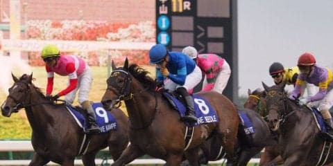 【スプリンターズS】ファインニードルが春秋スプリントG1制覇