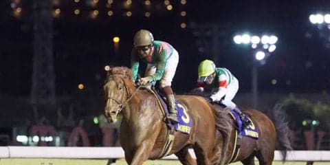 【日本テレビ盃】ケイティブレイブは5枠6番 枠順確定