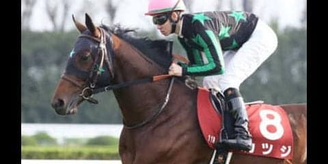 毎日王冠でＧＩ馬は消し。穴党記者が陣営の熱気を察知した３頭が怖い