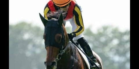 アエロリットが目標になる毎日王冠。逆転候補は決め手ある「３歳馬」