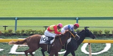 【東京1R/2歳未勝利】エルピドが最内強襲！レースセンスの高さを見せる
