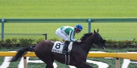 【東京2R/2歳未勝利】ロマンティコが7馬身差楽勝！スピードの違いで逃げ切り