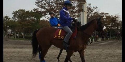 【秋華賞1週前】アーモンドアイ 史上5頭目の3冠へ向け視界良好