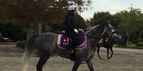 【毎日王冠】アエロリット モレイラ騎乗で不動の主役へ