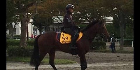 【毎日王冠】ステルヴィオ 得意の1800なら古馬でも通用