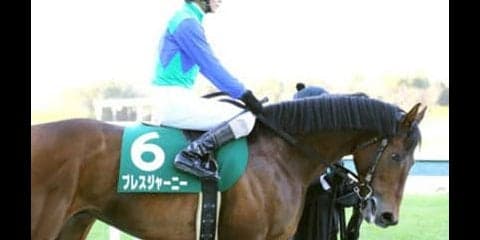 京都大賞典は、この舞台で覚醒しそうな重賞「常連馬３頭」を狙い撃ち