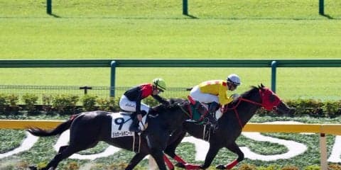 【東京1R/2歳未勝利】圧倒的人気のオリオンパッチが逃げ切る！2着馬と熾烈な追い比べ