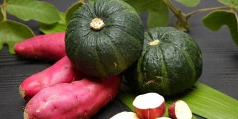 食欲の秋はカロリー控えめのおやつはいかが！？