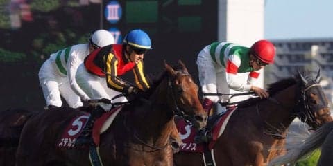 【毎日王冠】ステルヴィオ鋭く追い込むも2着！ルメール「勝った馬が強かった」