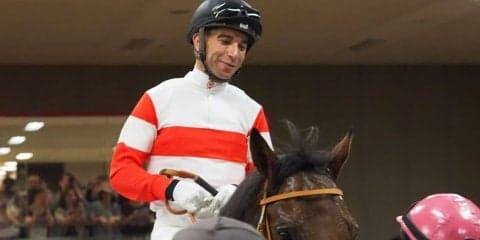 【東京/2歳新馬】モレイラ「プロフェッショナルな馬」ダノンラスターがデビュー戦快勝